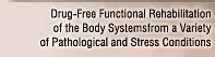 Drug-Free Funktional Rehabilitation of the Body Systemsform a Variety of Pathological and Stress Conditions
